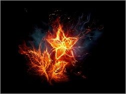 Kwiat, Ogień