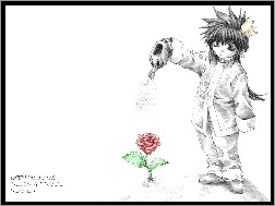 Saiyuki, osoba, konewka, kwiat