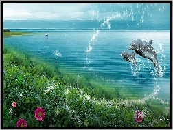 Kwiatki, Delfiny, Dwa, Morze