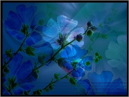 Tło, Kwiatki, Niebieskie