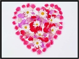 Serce, Kwiatki, Walentynki