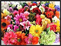 Kwiatów, Hiacynty, Lilie, Gerbery, Bukiet, Róże