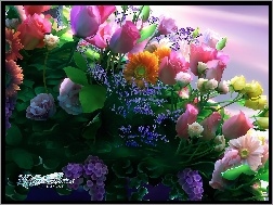 Kwiatów, Bukiet, Kagaya, Grafika, Różnych