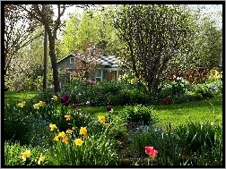 Domek, Kwiatowy, Ogród