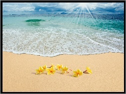 Kwiatuszki, Morze, Słońca, Promienie, Plaża