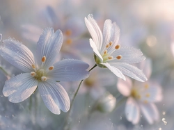 Rogownica polna, Szron, Kwiaty, Grafika AI