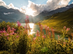 Jezioro Lac de Salanfe, Góry Alpy, Wschód słońca, Szwajcaria, Kwiaty