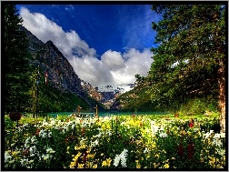 Kwiaty, Park, Jezioro, Góry, Kolorowe