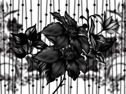Kwiaty, Czarne, Grafika