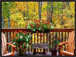Kwiaty, Las, Jesień, Balkon