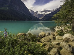 Drzewo, Lake Louise, Kamienie, Góry, Kanada, Kwiaty, Jezioro, Park Narodowy Banff