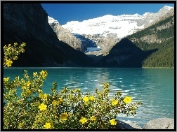 Kwiaty, Jezioro Louise, Kanada, Góry