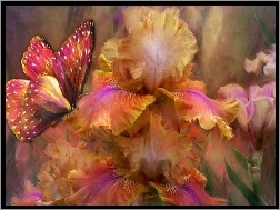 Motyl, Kwiaty, Kolorowy