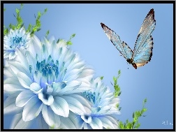 Motyl, Kwiaty, Niebieski