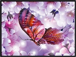 Motyl, Kwiaty, Wiśni