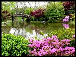 Kwiaty, Mostek, Ogród, Woda