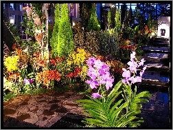 Schody, Kwiaty, Ogród