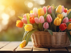 Koszyk, Kwiaty, Tulipany, Deski, Kolorowe