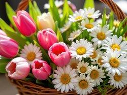 Wiklinowy, Kwiaty, Tulipany, Koszyk, Margerytki