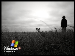 łąka, Professional, Windows XP, Człowiek