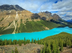 Jezioro, Las, Skały, Peyto Lake, Chmury, Prowincja Alberta, Kanada, Góry, Park Narodowy Banff, Drzewa