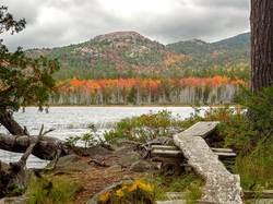 Stan Maine, Stany Zjednoczone, Góry, Upper Hadlock Lake, Drzewa, Jezioro, Porośnięte, Park Narodowy Acadia, Kładka
