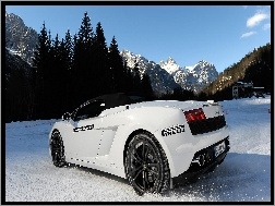 Lamborghini, Góry, Drzewa, Gallardo, Białe, Zima