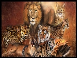 Lampart, Duże, Koty, Puma, Lew, Tygrys