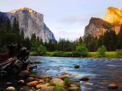 Rzeka, Stan Kalifornia, Park Narodowy Yosemite, Kamienie, Szczyt El Capitan, Góry, Stany Zjednoczone, Las