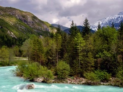 Drzewa, Góry, Kamienie, Las, Rzeka, Chmury