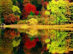 Las, Domek, Jesień, Kolorowe, Jezioro, Drzewa