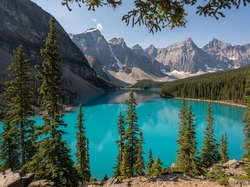 Góry, Alberta, Drzewa, Jezioro Moraine, Park Narodowy Banff, Kanada, Las
