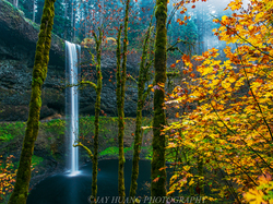 Park miejski Silver Falls, Las, Drzewa, Oregon, Stany Zjednoczone, Jesień, Wodospad South Falls, Skała