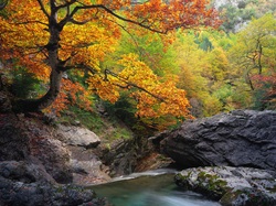 Drzewa, Las, Rzeka, Jesień, Skały
