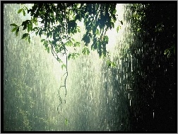 Deszcz, Lasy, Równikowe