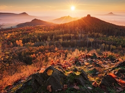 Góry, Lasy, Drzewa, Jesień, Wschód słońca, Mgła