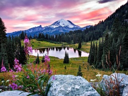 USA, Góry, Jezioro Tipsoo, Park Narodowy Mount Rainier, Lasy