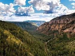 Lasy, Kanion Oak Creek Canyon, Park Stanowy Slide Rock, Kanion, Stan Arizona, Stany Zjednoczone, Góry, Wąwóz, Skały