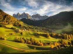 Lasy, Dolomity, Dolina Val di Funes, Wieś Santa Maddalena, Drzewa, Jesień, Góry, Włochy, Masyw Odle