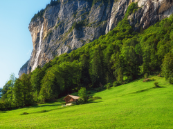 Szwajcaria, Drzewa, Dom, Polana, Wzgórze, Góry, Dolina Lauterbrunnen