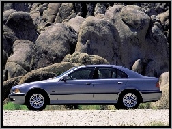Lewy Profil, BMW 5, E39