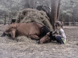 Dziewczynka, Leżący, Koń