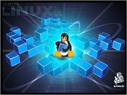 Klocki, Linux, Pingwin