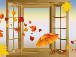 Liście, Okno, Grafika, Parasol