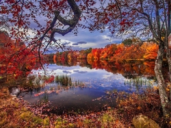 Liście, Jezioro, Jesień, Drzewa