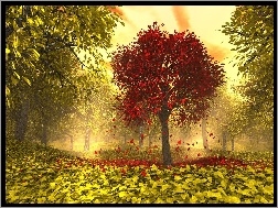 Liście, Czerwone, Żółte, Drzewa