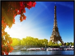 Liście, Paryż, Eiffla, Wieża, Czerwone