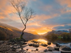 Zachód słońca, Chmury, Jezioro, Kamienie, Snowdonia, Llyn Padarn, Walia, Drzewo, Góry