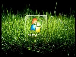 Logo, Windows 7, Trawa