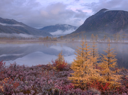 Jezioro Jack London, Rosja, Jesień, Drzewa, Góry Kołymskie, Obwód magadański